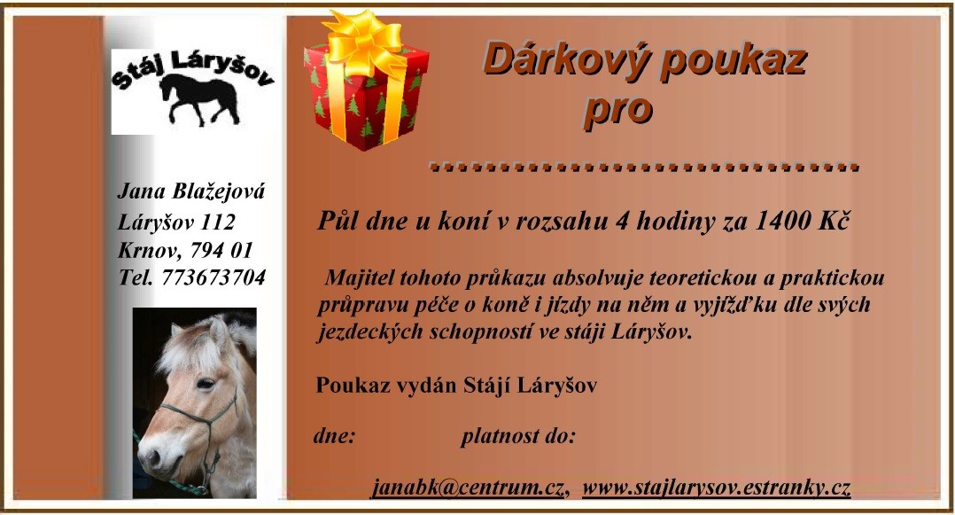 darkovy-poukaz_pul_dne_u_koni.jpg