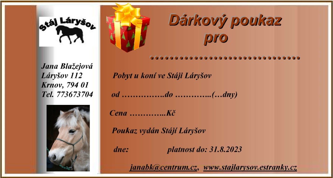 darkovy-poukaz_pobyt_u_koni.jpg